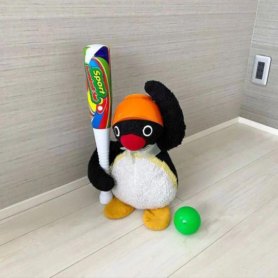 百变小仙女维维