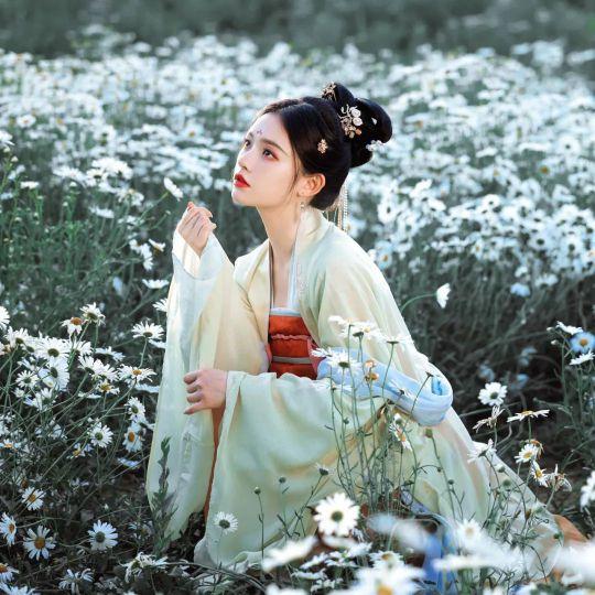 白色会飞的超级大母鸡