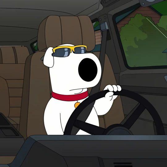 百斯盾官方旗舰店