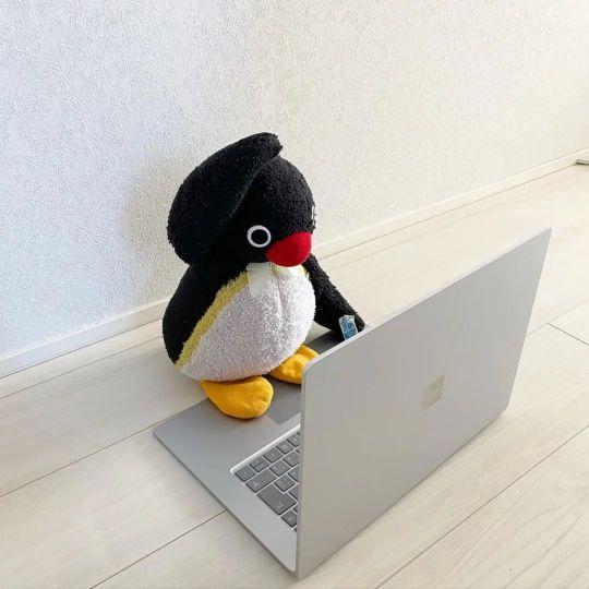 白袜帅哥白袜子