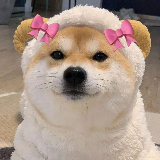 白夜音乐典藏馆